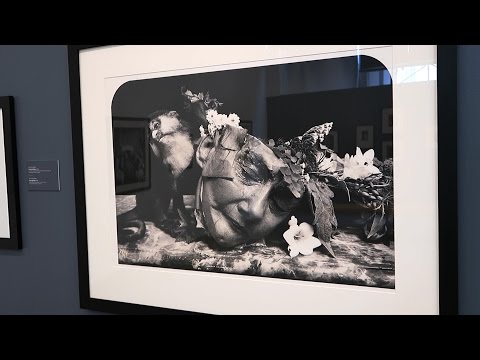 WELCOME TO MEXICO CITY