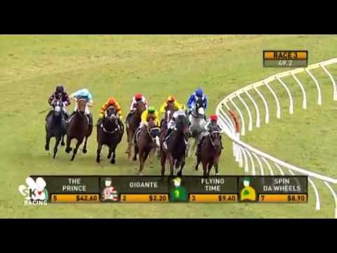 Belmont Park, 16/07/2016 - Race 3 - GIGANTE - Jim Taylor