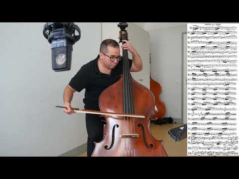 Double bass excerpt - R. Wagner - The Valkyrie, Overture