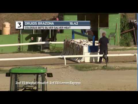 2020 SILVER SALVER - HEAT 1 - T3 DRUIDS BRAZONA