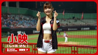 小映 ( しゃおいん ）Dragon Beauties 小龍女 味全龍啦啦隊 cheerleader 치어리더 天母棒球場 2023/05/12【台湾チアTV】