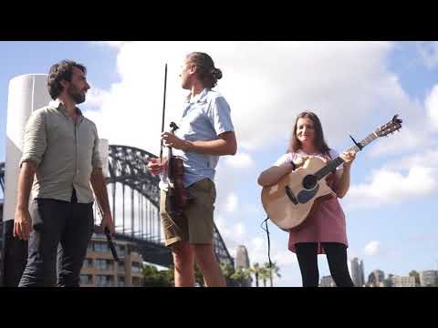 Angus Barbary 2021 tune a day - 45 - The Cock and the Hen