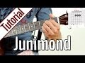 Rio Reiser/Echt - Junimond | Gitarren Tutorial ...