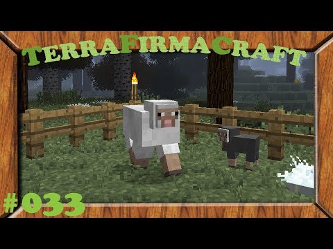 TerraFirmaCraft * #33* Das reinste Hörspiel * S1 * Gameplay * Deutsch