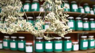 Cancer Doctors Speak - Cancer Research