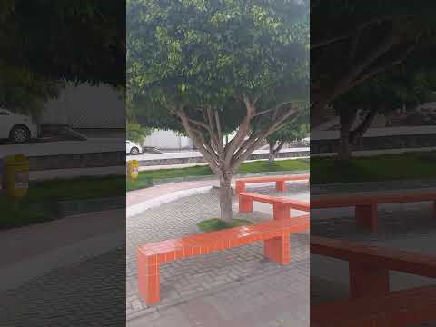 PRACINHA DA CIDADE DE CASINHAS PE. #agreste #casinhaspe