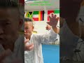 How To Defense Punches L Tiger Kung Fu