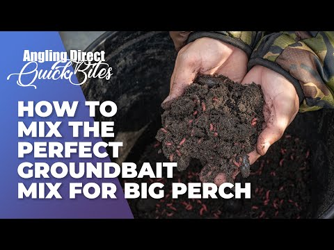 So stellst du den perfekten Groundbait Mix für große Barsche zusammen - AD Quickbite