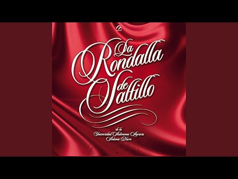 Un Idiota - La rondalla de saltillo