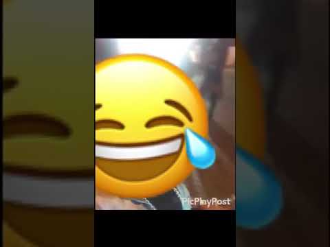 Grandes Mundos - afinal é da Alicia Brito ou do Eddu