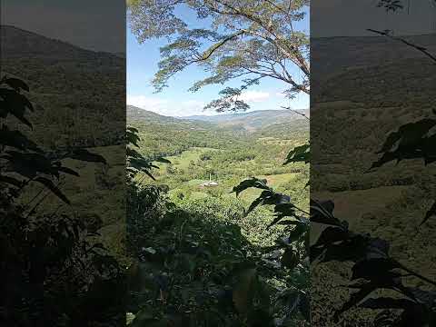 Paisaje de  Ocamonte Santander