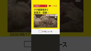 クマ被害相次ぐ　岩見沢はニワトリ２０羽の死骸、函館はニンジン５００本食べられる…