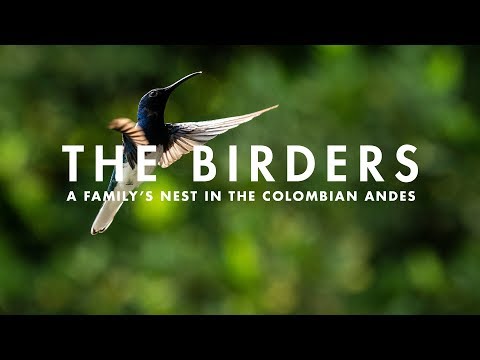 THE BIRDERS | A family's nest in the Colombian Andes. Video