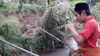 Download lagu Ceritane Wong Lagi Mancing mp3