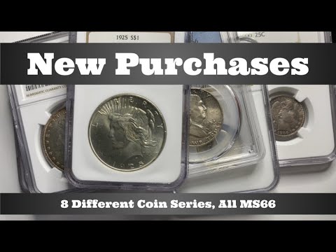 New Purchases - 8 Different Coin Series, All MS66 - "The Look"