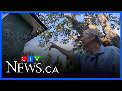 B.C. man captures mysterious fairy-like figure on security camera