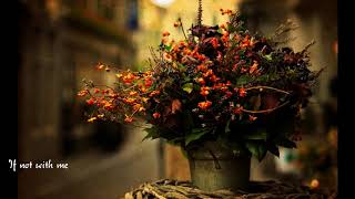 Who do you love (나랑 아니면) - The Black Skirts (Engsub+Vietrans)