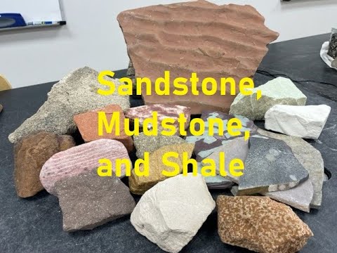 Rock Identification with Willsey: Sandstone, Mudstone, and Shale