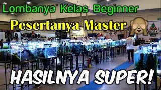Hasil Kontes Aquascape NUSATIC 2019 - Beginner Class