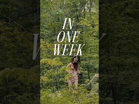 Celebrating one week is only a little obsessive.