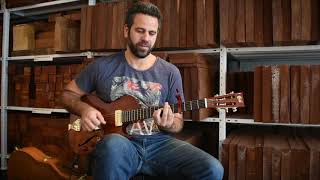 Yoni Schlesinger | Brothers in Arms (Dire Straits) solo fingerstyle |  B&G Little Sister
