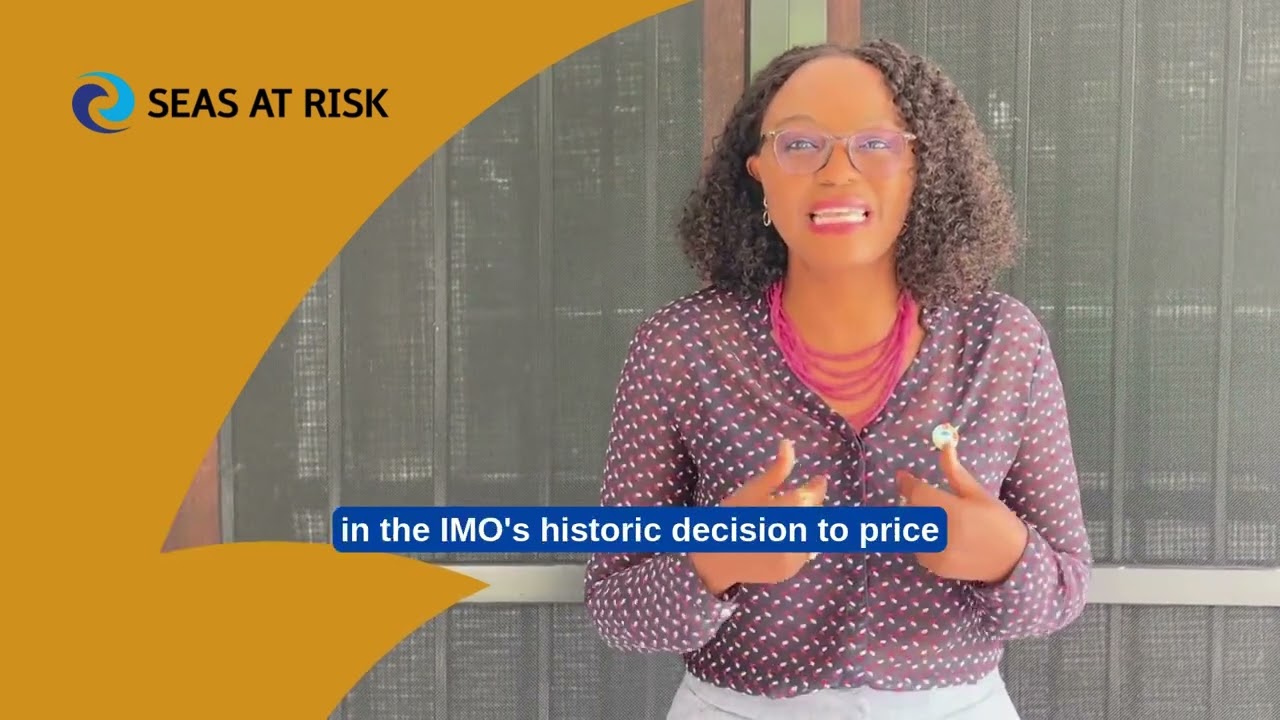 Make Africa heard at the IMO and get financial support from the IMO