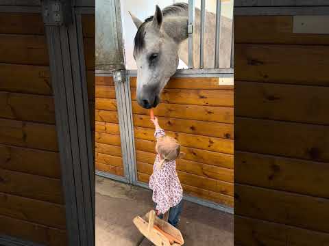 Dolce took revenge 🥕 #HorseKids #HorseLife #blessed #farmlife #newstart