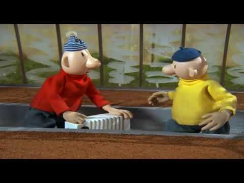 Sąsiedzi E 68 -  Dynia