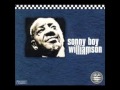 J.  J.  CALE + SONNY BOY WILLIAMSON - Superblue + Help Me