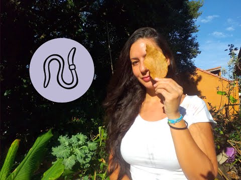 Permacultura - Bardoefada