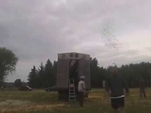 2014.06.14 Szentgothárd feleresztés 06:00-kor