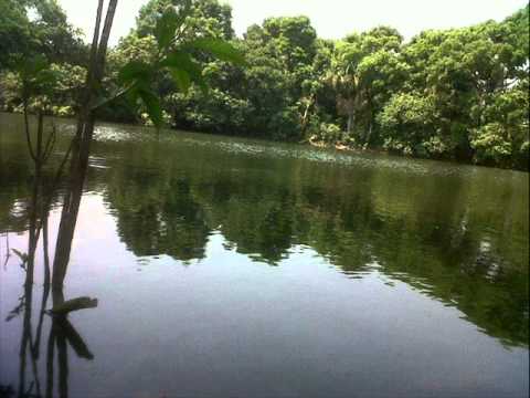 JORGE GUERRERO EL PEON ENAMORAO