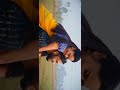 Kanne En Munne Whatsapp Status Video Songs Kanne En Munne Whatsapp Status Hd Video