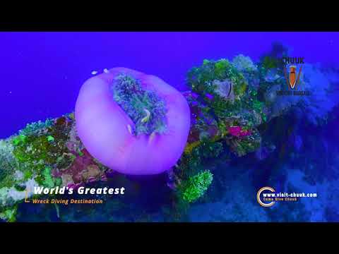 GMIF 2021 Chuuk - Promoção Come Dive Chuuk #2