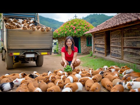 Xuan Farm Trucking and Building Queens