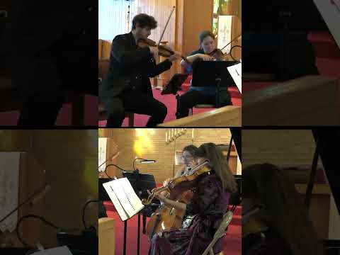 String Quartet in E-flat Major, K160 • Wolfgang Amadeus Mozart  #classicalmusic #violin #music