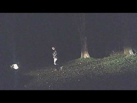 Puppy love - plastic robots (music video)