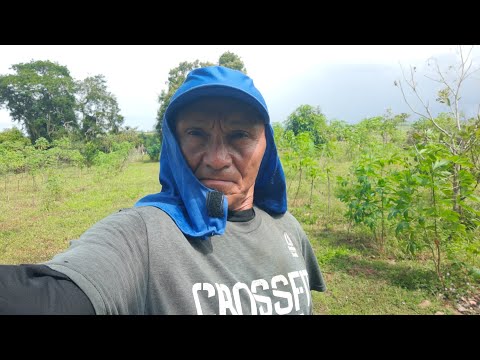 Bal gravações Cuité de Mamanguape está ao vivo!