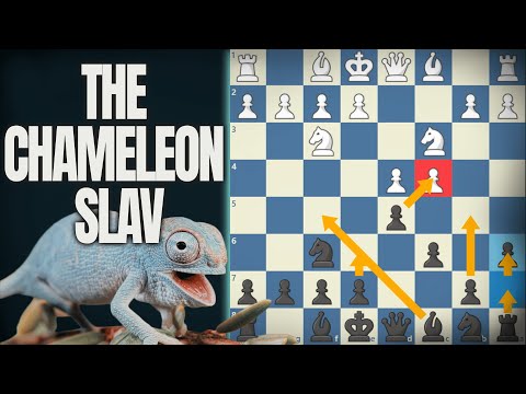 The Point of the Chameleon Slav | Dojo Opening Lab