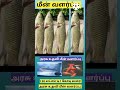 மீன் வளர்ப்பு மானியம்