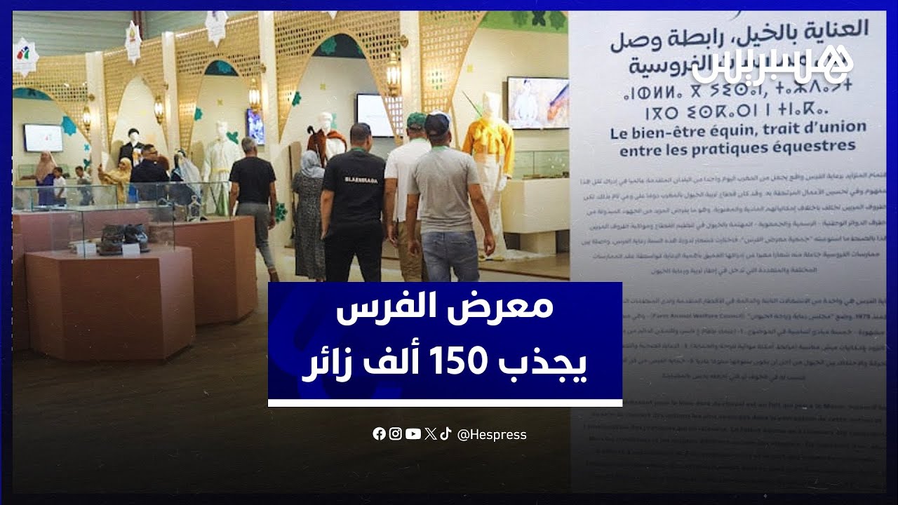 على مدى ستة أيام.. معرض الفرس بالجديدة يسدل الستار بعد استقبال أكثر من 150 ألف زائر thumbnail
