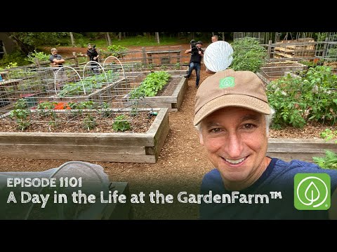Growing a Greener World Episode 1101: A Day In The Life at the GardenFarm™