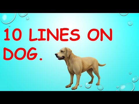 10 lines on dog | Dog 10 lines | Dog essay  | Essay on dog