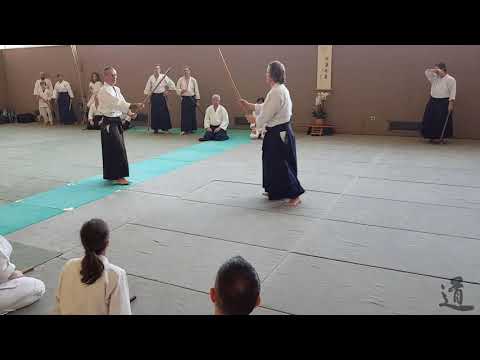 Traditional Aikido Europe - CHANGE YOUR FEELING OF CONTACT - Lewis Bernaldo de Quiros