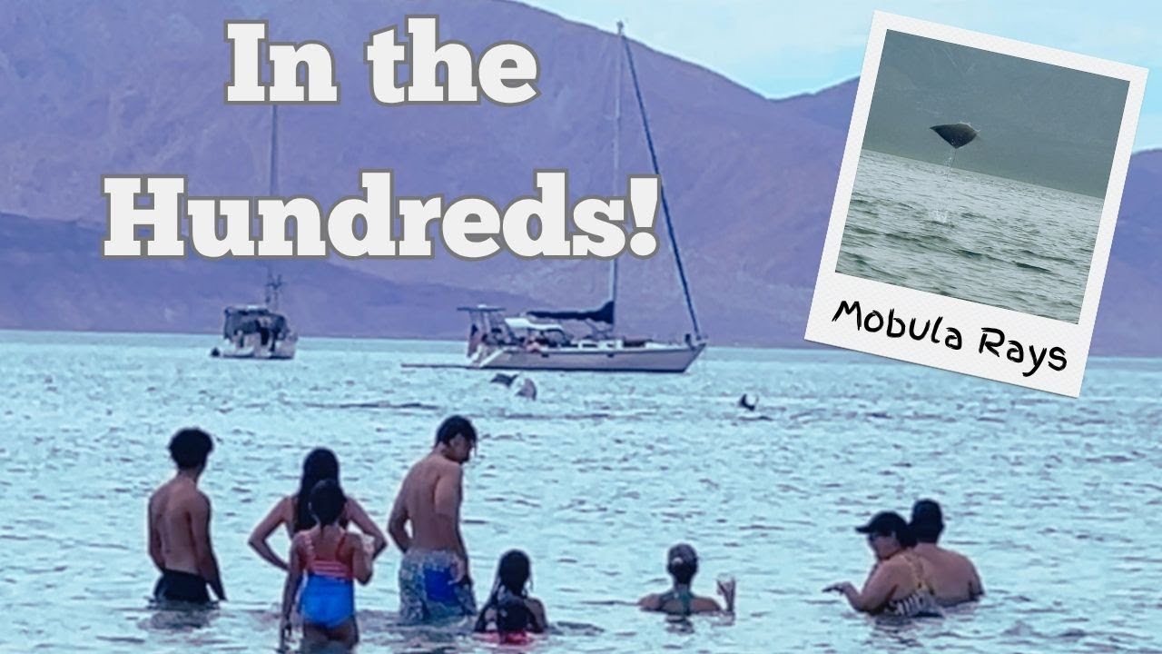 S3, Ep29 Why We Are Definitely Still Sailing to Baja First!