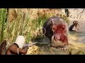 Chris Smoove The Hippo Had No Choice But To Sleep