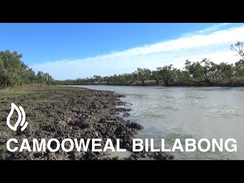 Camooweal Billabong Camping Area - Camooweal, Queensland