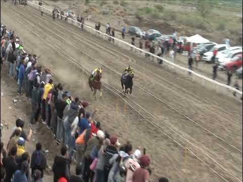 CINCO ESTRELLAS Club Hípico Añelo - Domingo 29 de Septiembre de 2024