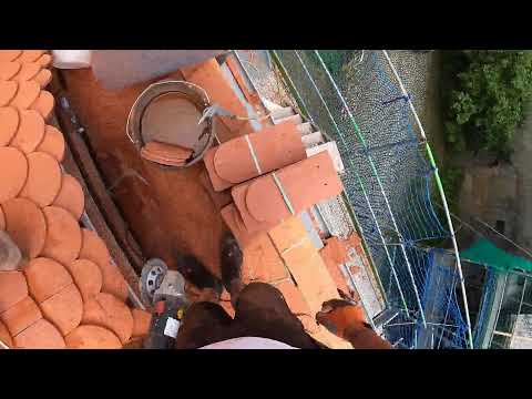 Biberschwanz Fledermausgaube - Teil 14 - Dachdecker auf Biberschwanzdach - Spezialisten für Biber