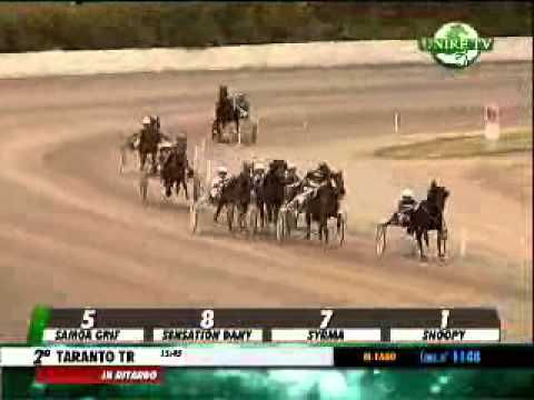 21/04/2014, Taranto , Premio Castellaneta C.naz.